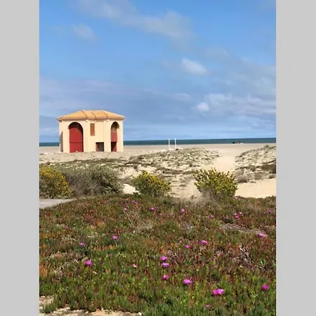 La Perle Vue Mer Pieds Dans L'Eau Clim Wifi Leucate Exterior foto