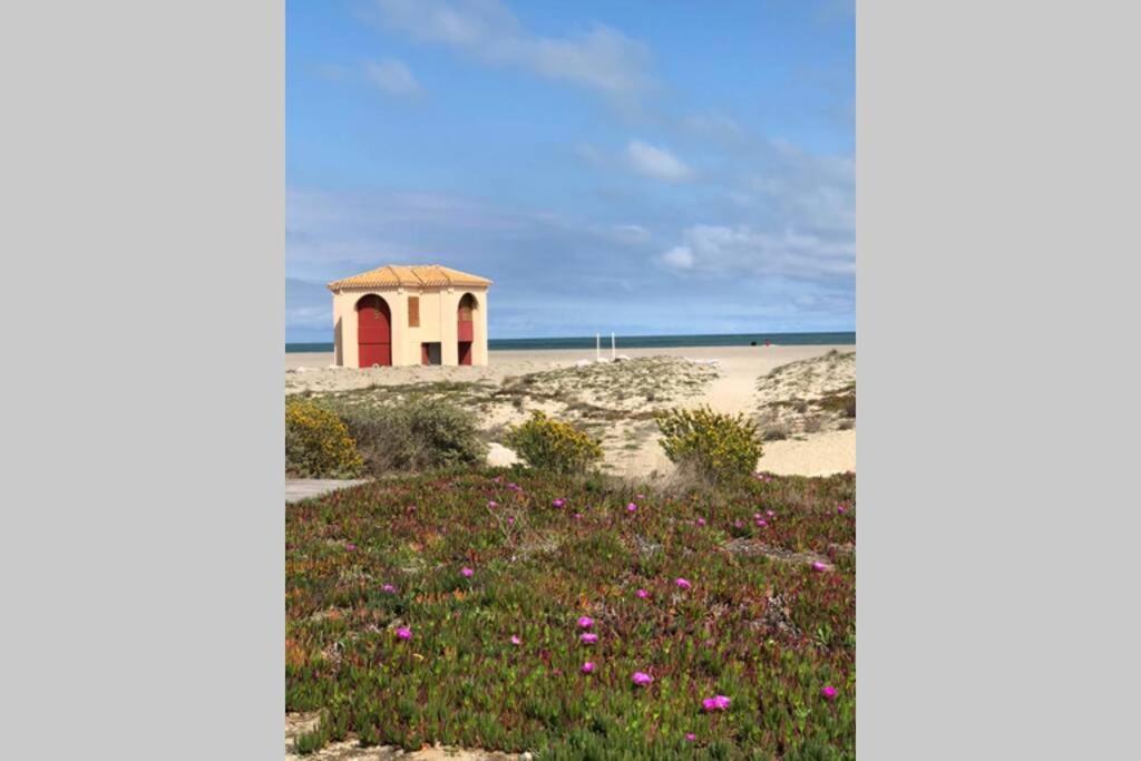 La Perle Vue Pieds Dans L'eau Clim Wifi Ferienhaus Leucate
