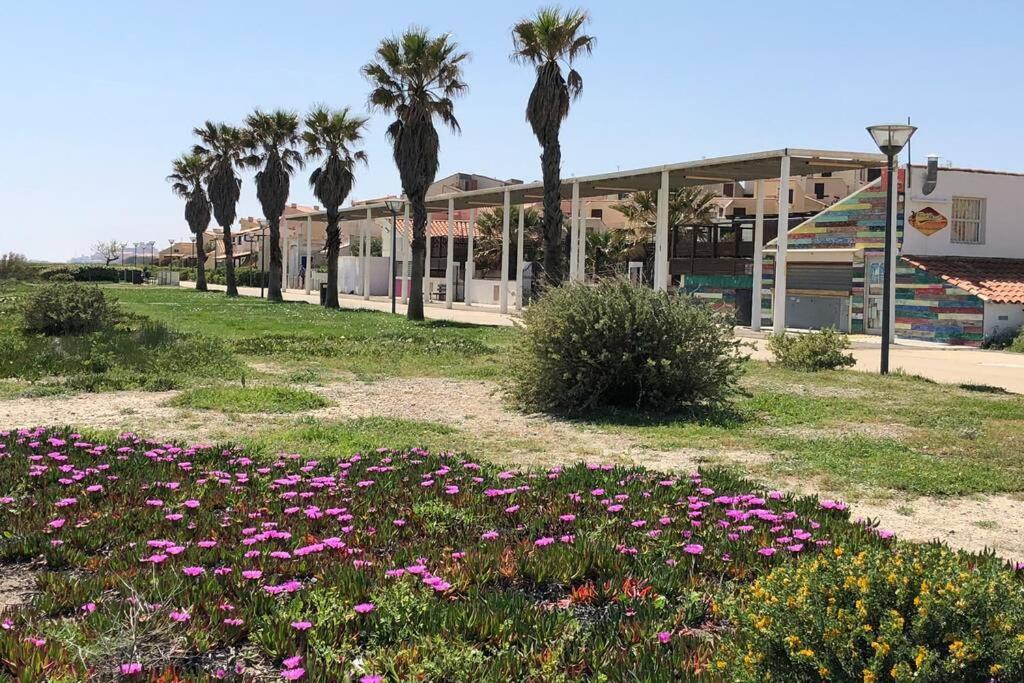 La Perle Vue Pieds Dans L'eau Clim Wifi Ferienhaus Leucate