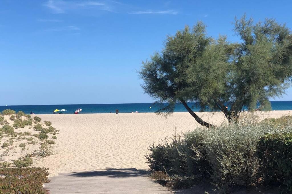 La Perle Vue Pieds Dans L'eau Clim Wifi * Leucate