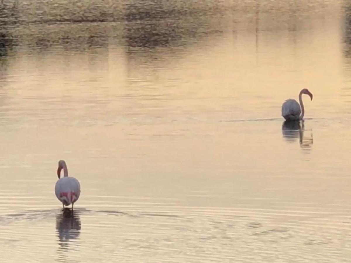 La Perle Vue Pieds Dans L'eau Clim Wifi * Leucate