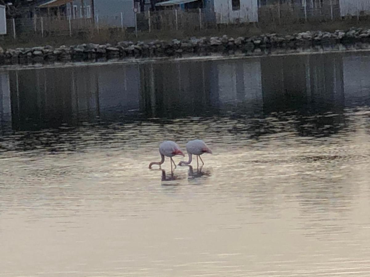 Vakantiehuis Barcaresa-la Perle Vue Pieds Dans L'eau Clim Wifi Leucate